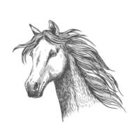 cheval gracieux blanc avec portrait de croquis de crinière vecteur