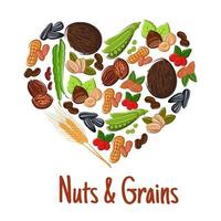 conception d'affiche de coeur de noix, de grain, de graine et de haricot vecteur