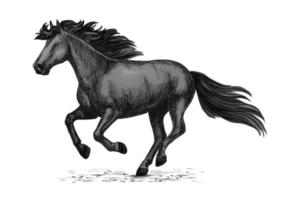 cheval sauvage noir courant sur des croquis vectoriels de courses vecteur