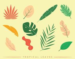 feuilles tropicales colorées vecteur