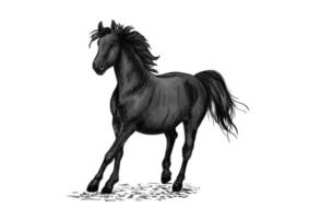 courses de chevaux noirs au galop vecteur