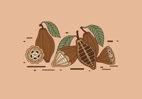 Vecteur de haricots de cacao