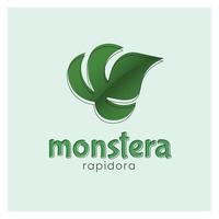 vecteur de logo de plante de feuille de monstera. création de logo simple plante d'intérieur