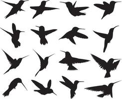 collection de silhouettes de colibris vecteur