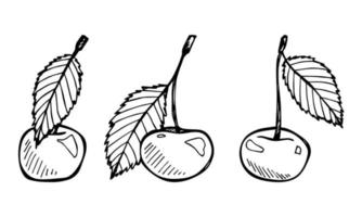 vecteur cerise clipart. icône de baies dessinées à la main. ensemble d'illustrations de fruits