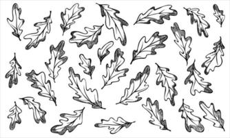 vecteur dessiné à la main ensemble de feuilles de chêne. illustration d'automne. clipart botanique détaillé