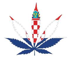 drapeau de feuille de cannabis. le concept de légalisation de la marijuana, du cannabis en croatie. vecteur