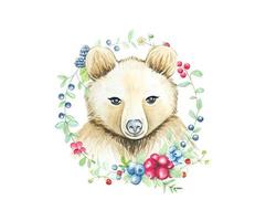 jolie couronne d'ours et de baies. illustration aquarelle vecteur