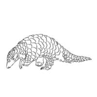 c'est une belle photo de pangolin au sol. vecteur