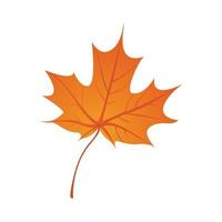 illustration vectorielle de feuille d'automne unique vecteur