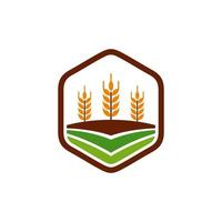 modèle de vecteur de conception de logo d'agriculture de grain de blé
