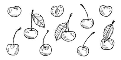 vecteur cerise clipart. icône de baies dessinées à la main. ensemble d'illustrations de fruits