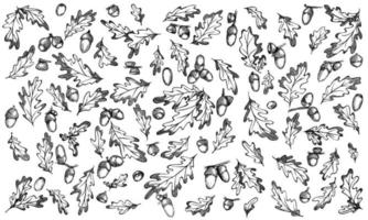 ensemble d'images vectorielles d'illustration de glands et de feuilles de chêne dessinées à la main. croquis de botanique d'automne. clipart botanique détaillé vecteur