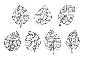 ensemble d'illustration de feuilles de monstère tropicale simple. clipart vectoriel dessiné à la main. griffonnage botanique