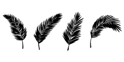 ensemble d'illustration de feuilles tropicales simples. clipart vectoriel dessiné à la main. griffonnage botanique