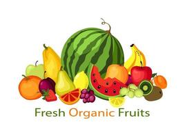 concept de fruits frais biologiques vecteur