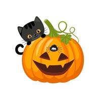 citrouilles d'halloween avec chat noir et araignée. citrouille effrayante avec le sourire. illustration vectorielle isolée sur fond blanc. concept d'halloween et d'automne. vecteur