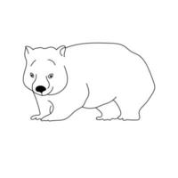 wombat, dessin de contour d'un animal australien, coloriage vecteur