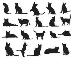 silhouettes d'animaux de chat korat, collection de silhouettes de chats. vecteur