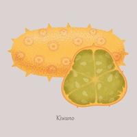 kiwano fruits tropicaux et exotiques entiers et demi. melon cornu, concombre africain sur fond gris. illustration vectorielle, icône de fruit isolé. vecteur