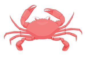 crabe rouge de dessin animé isolé sur fond blanc. illustration graphique vectorielle de créature marine colorée. animal aquatique avec des griffes. caractère crustacé aquatique vecteur