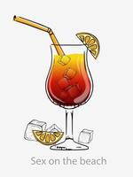 sexe cocktail sur la plage. rouge jaune cocktail glaçons pailles vertes tranche d'orange long drink vodka alcoolisée jus de pêche orange servi highball vecteur verre catégorie moderne classique.