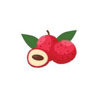 litchi plat design clip art vector illustration isolé sur fond blanc