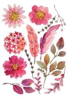 aquarelle fleur éléments clipart vecteur