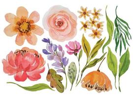 aquarelle fleur éléments clipart vecteur