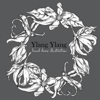 illustration vectorielle dessinée à la main fleur d'ylang ylang noir et blanc. illustration rétro vecteur