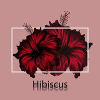 fleur d'hibiscus rouge. fond rose et bordure blanche illustration vectorielle dessinés à la main vecteur