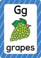 raisins vecteur isolé sur fond blanc lettre g flashcard raisins dessin animé