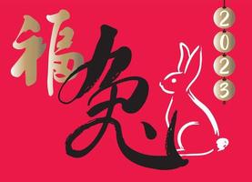 caractère de mot chinois avec graphique de lapin vecteur