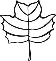 feuille plante arbre dessin illustration symbole vecteur