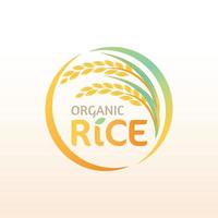 riz paddy premium produit naturel biologique bannière logo vector design