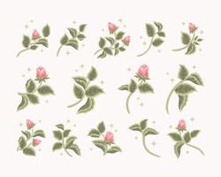 collection de logo féminin de bourgeon de fleur de rose romantique vintage, étiquette de beauté, éléments de marque vecteur