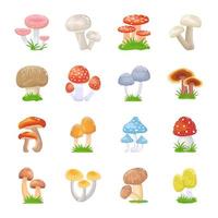 illustrations plates de champignons vecteur