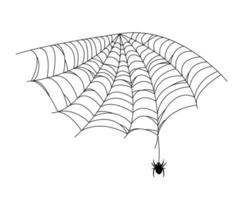 araignée noire et toile. toile d'araignée effrayante d'halloween. illustration vectorielle vecteur
