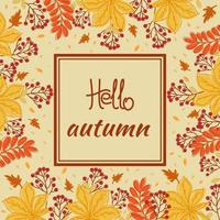 Bonjour automne. bannière, affiche, carte. feuilles d'automne, branche avec baie de rowan. vecteur