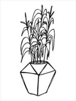 jolie plante d'intérieur dessinée à la main dans un clipart de pot. illustration de la plante. griffonnage à la maison confortable vecteur
