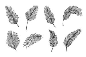 ensemble d'illustration de feuilles tropicales simples. clipart vectoriel dessiné à la main. griffonnage botanique