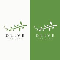 création de logo d'olive et d'huile à base de plantes naturelles avec branche d'olivier. logo pour les entreprises, l'image de marque, la phytothérapie et le spa. vecteur