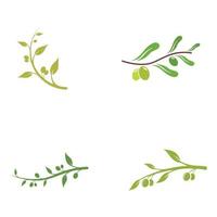 création de logo d'olive et d'huile à base de plantes naturelles avec branche d'olivier. logo pour les entreprises, l'image de marque, la phytothérapie et le spa. vecteur
