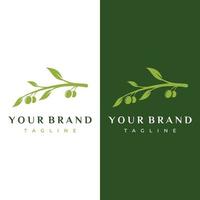 création de logo d'olive et d'huile à base de plantes naturelles avec branche d'olivier. logo pour les entreprises, l'image de marque, la phytothérapie et le spa. vecteur