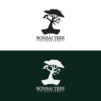 bonsai logo design silhouette icône vecteur