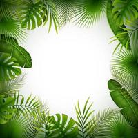 fond de jungle tropicale avec palmiers et feuilles sur fond blanc vecteur
