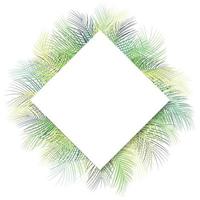 feuilles de palmier vert tropical avec place de cadre blanc pour texte isolé sur fond blanc vecteur