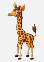 dessin animé mignon girafe isolé sur fond blanc