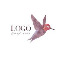 vecteur de colibri aquarelle sur fond blanc. faune exotique. clipart pour logo, carte de voeux et design.