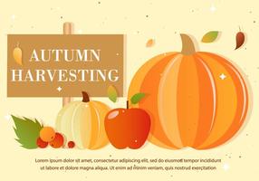 Harvest Free Autumn Vector